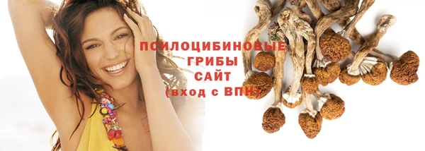 сатива Волосово