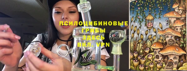 сатива Волосово