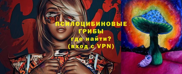 сатива Волосово