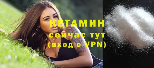 сатива Волосово