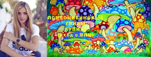сатива Волосово