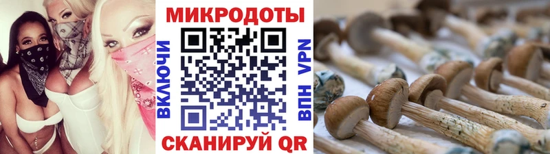 где найти наркотики  Жуковский  Псилоцибиновые грибы мухоморы 